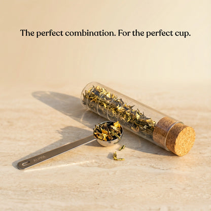 Kuppa First Edition 2025